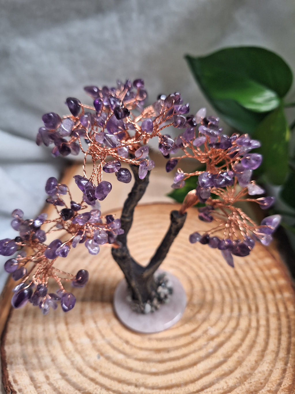 Amethyst Crystal Tree
