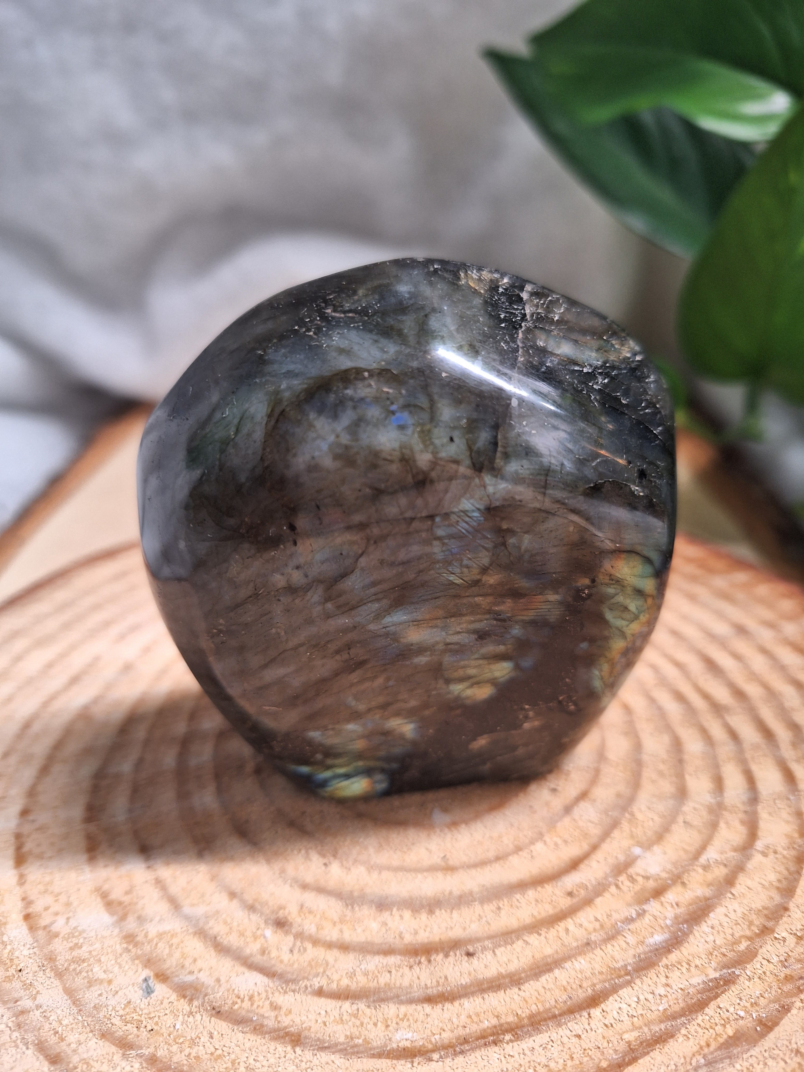 Labradorite Freeform