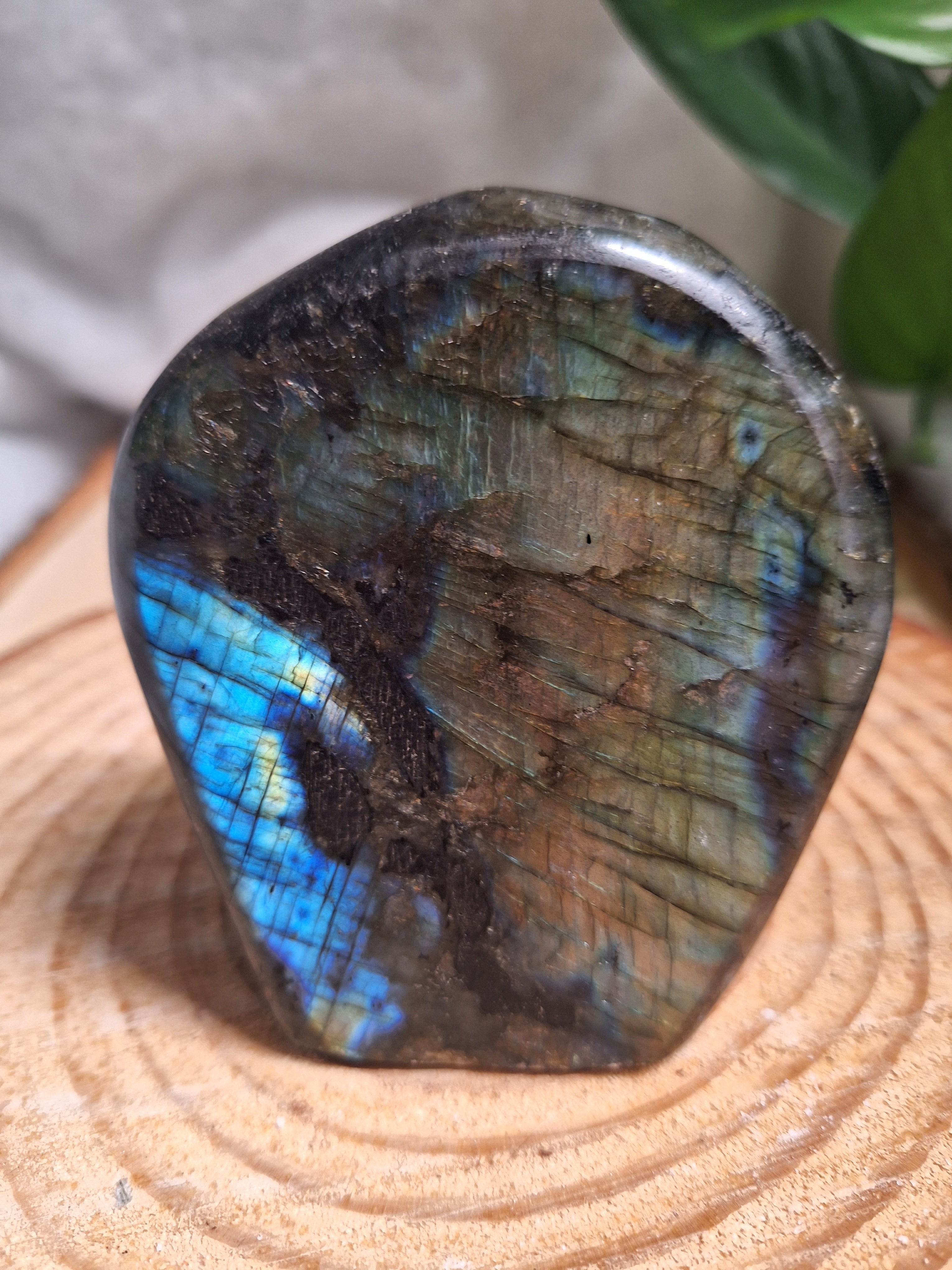 Labradorite Freeform