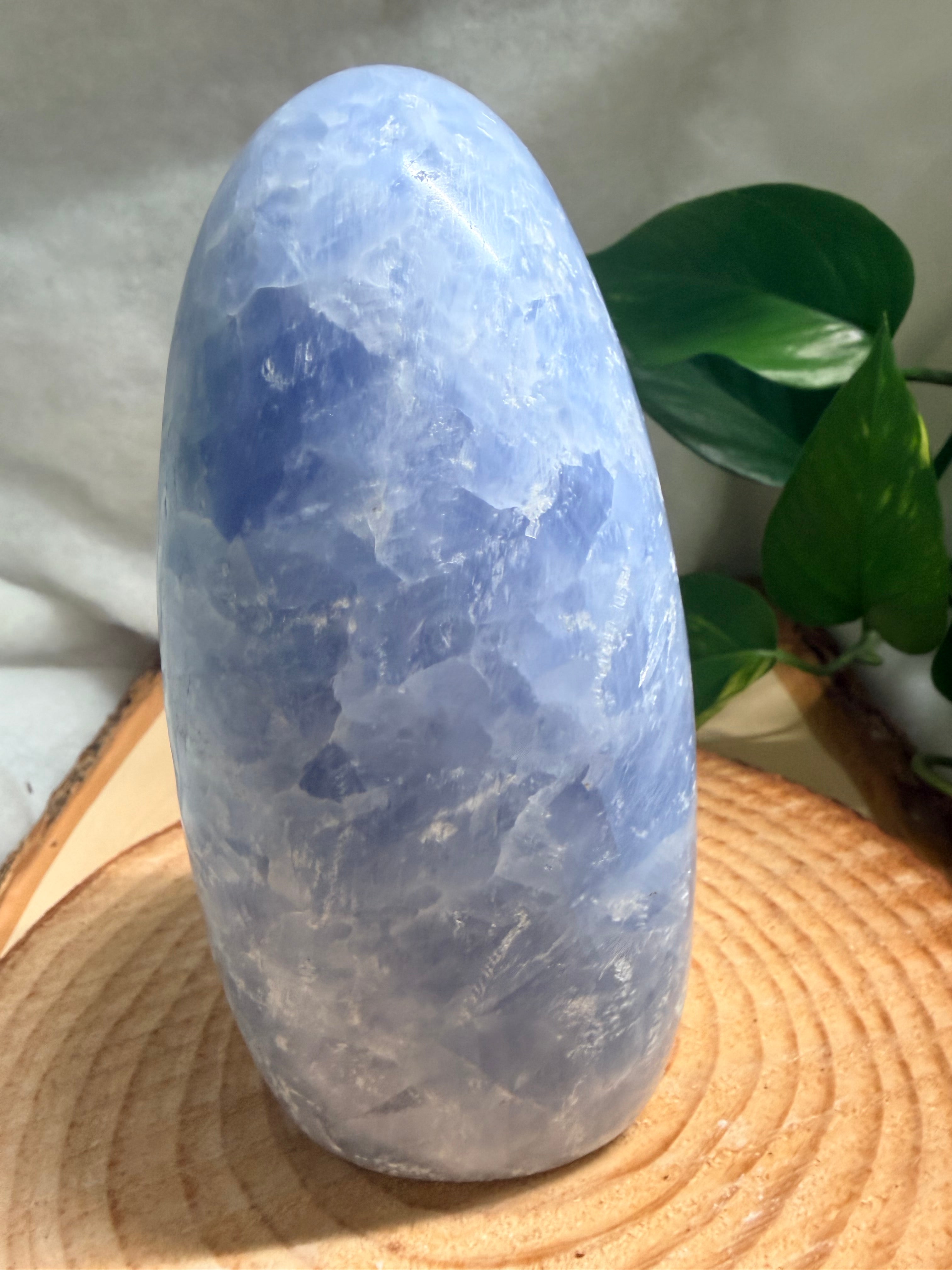 Blue Celestite Freeform – Large Statement Piece