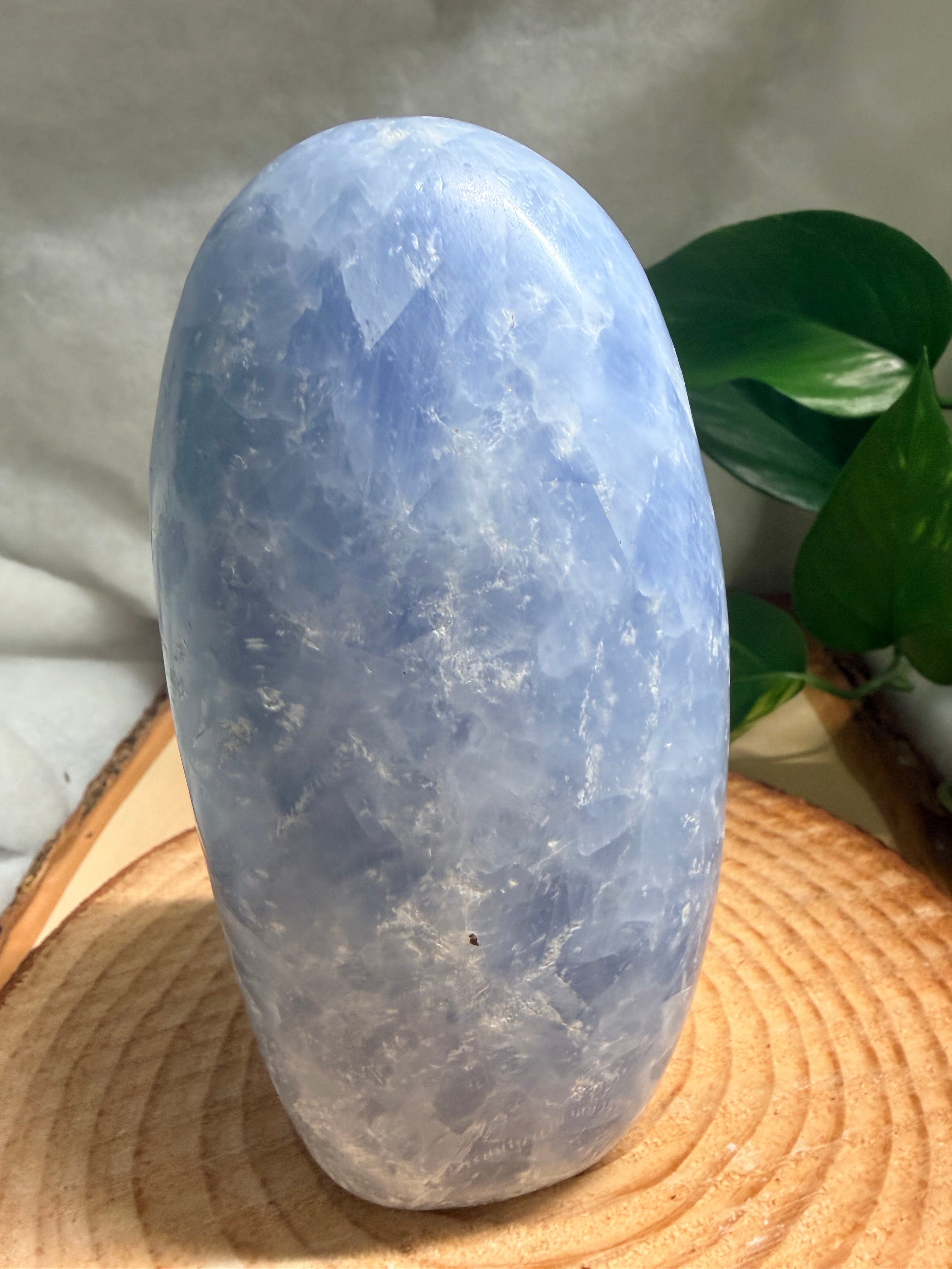 Blue Celestite Freeform – Large Statement Piece