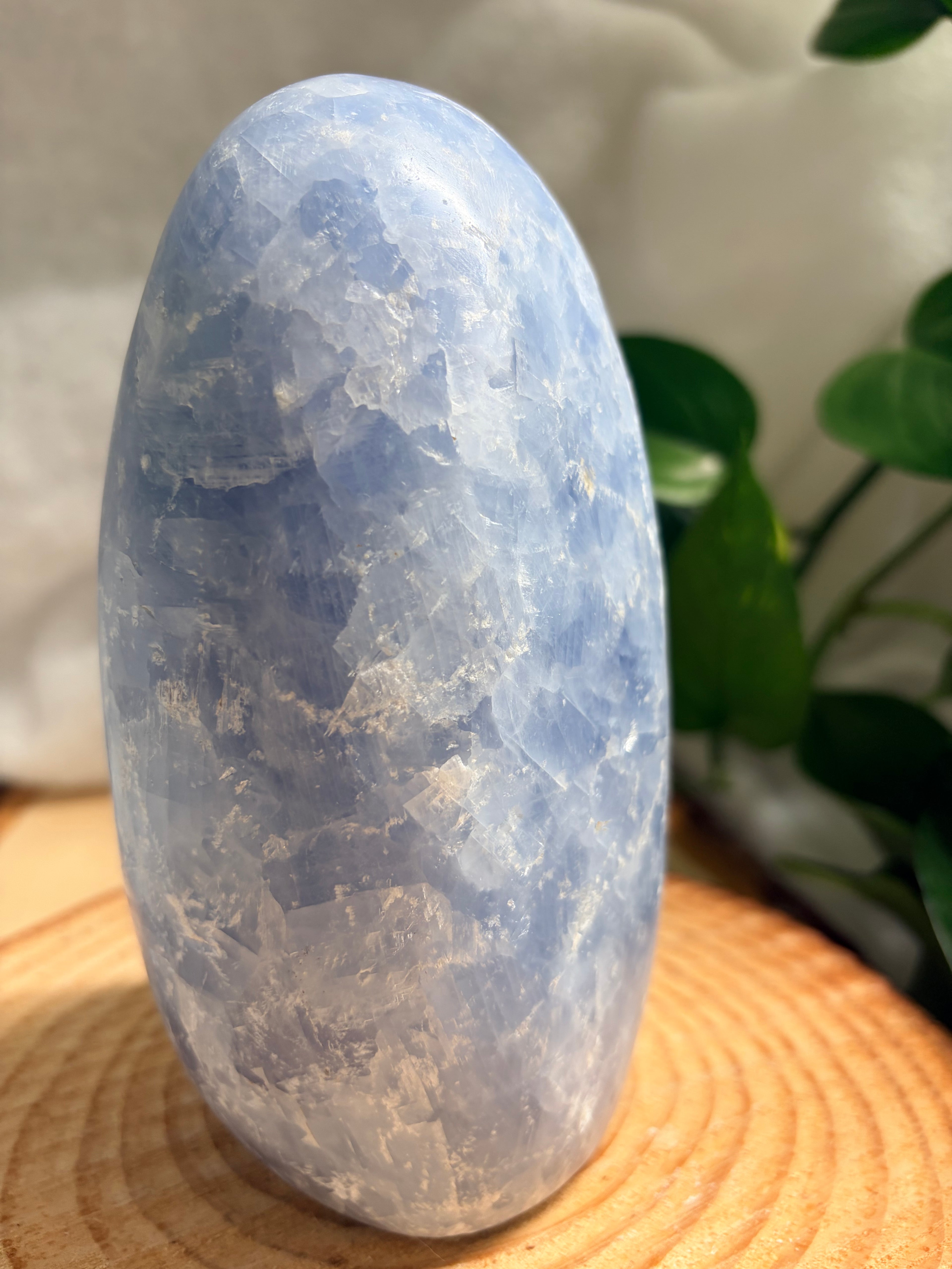 Blue Celestite Freeform – Large Statement Piece
