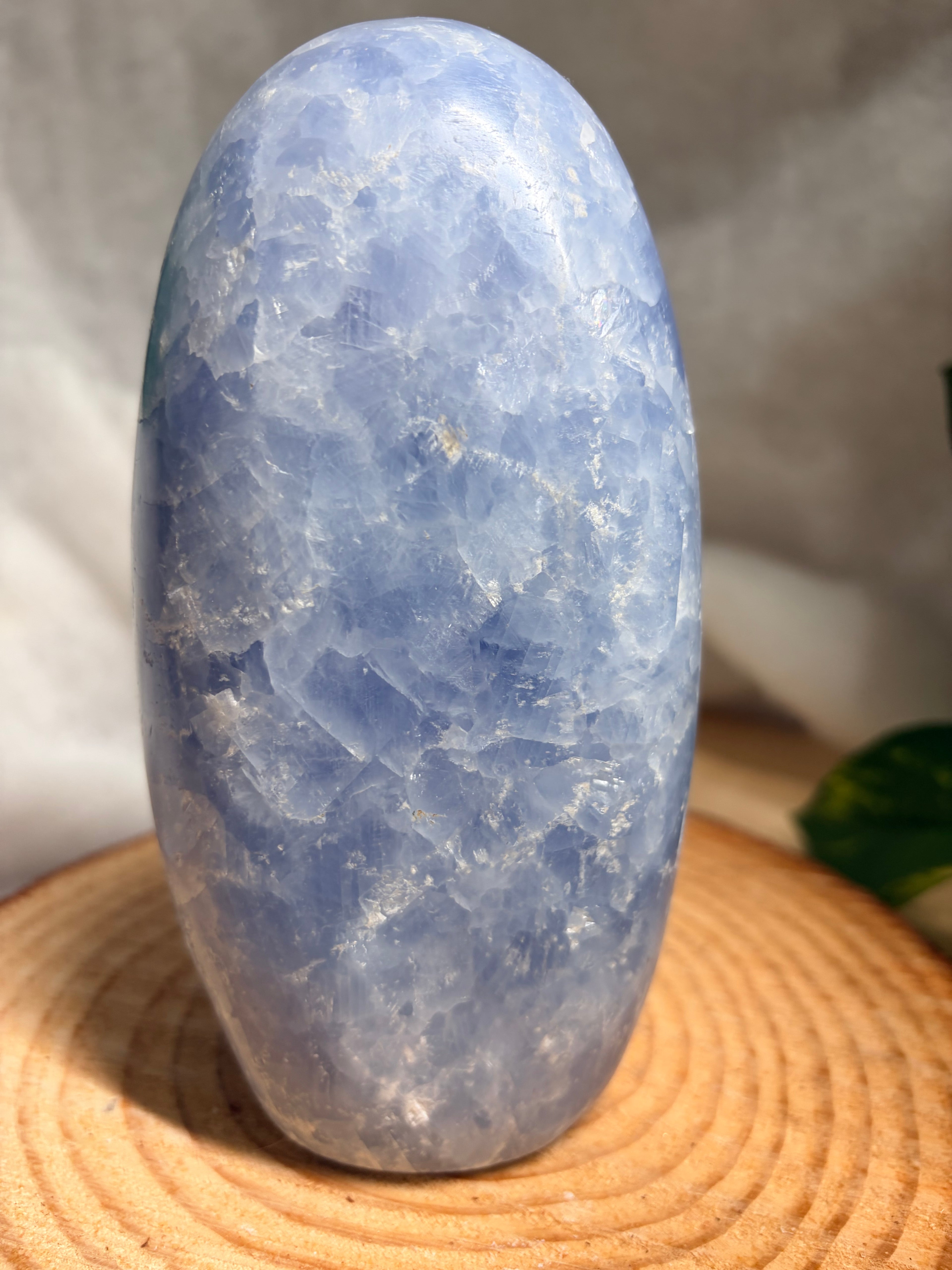 Blue Celestite Freeform – Large Statement Piece
