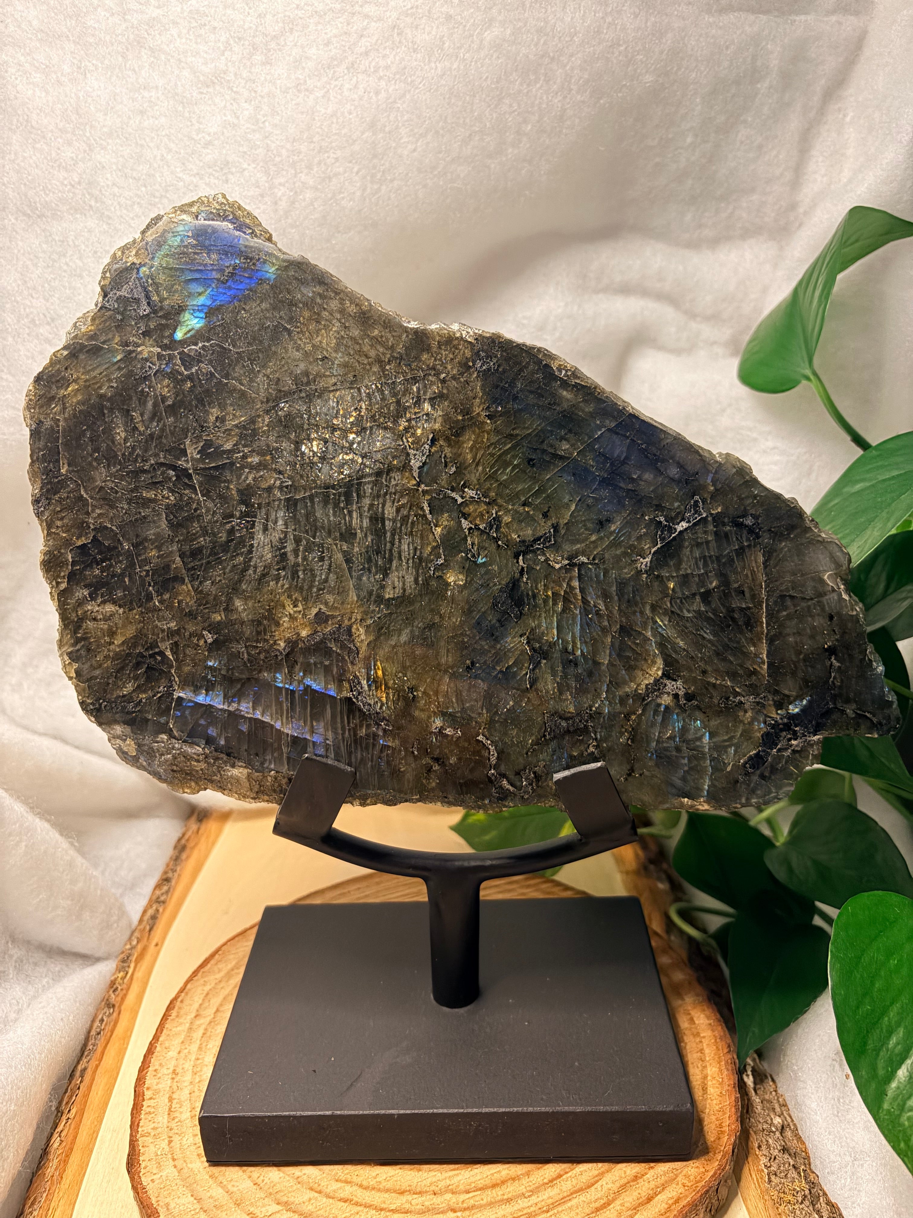 Labradorite Polished Slab with Raw Edges – Collector's Statement Piece