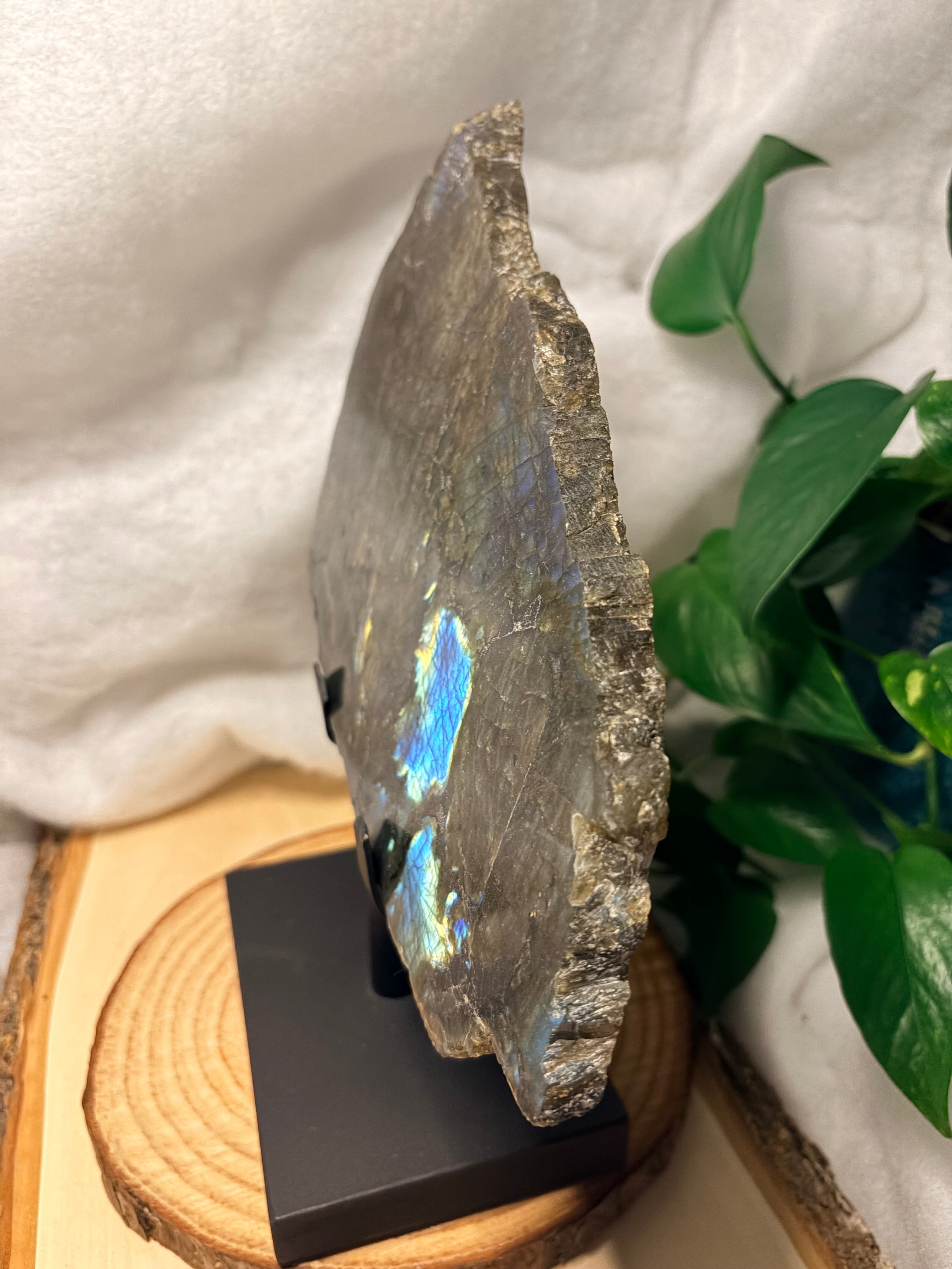 Labradorite Polished Slab with Raw Edges – Collector's Statement Piece