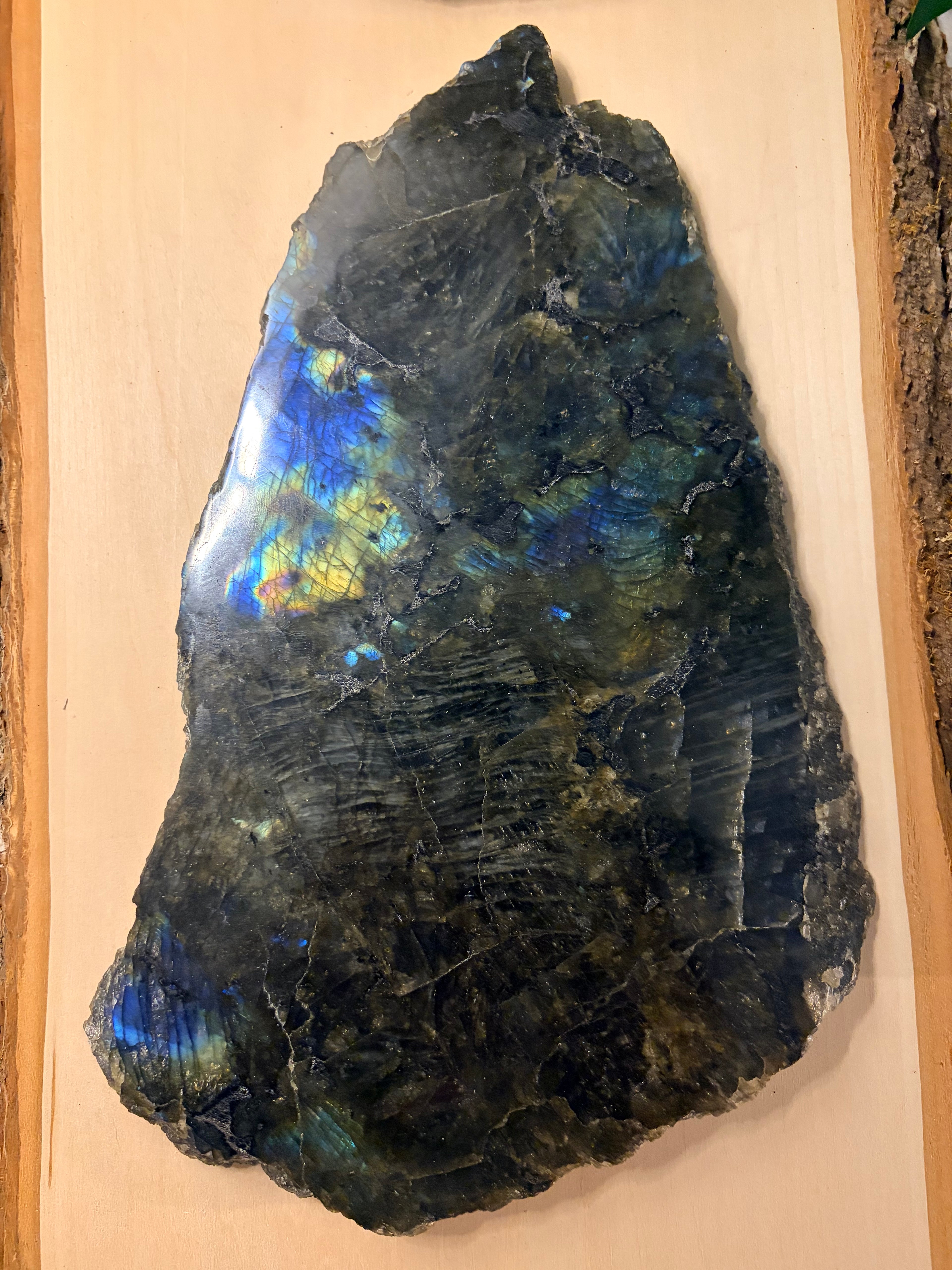 Labradorite Polished Slab with Raw Edges – Collector's Statement Piece