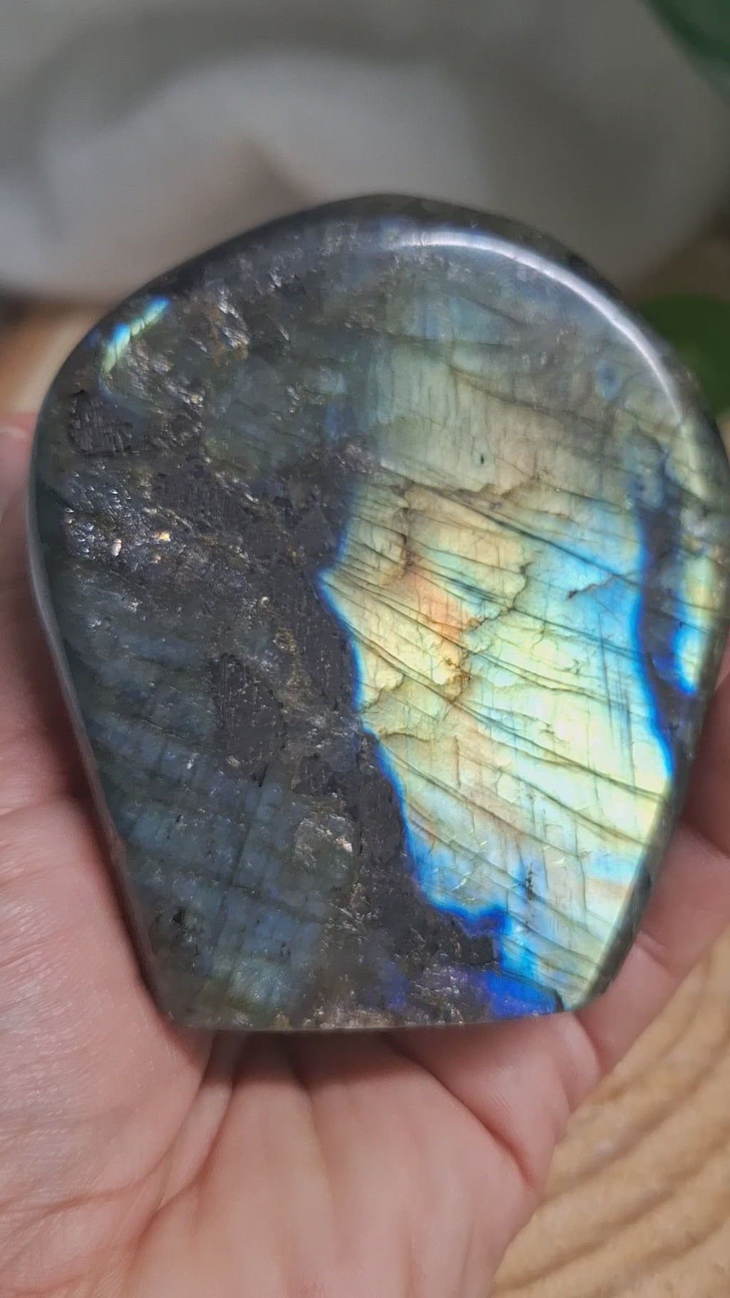 Labradorite Freeform